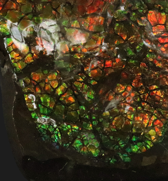 カナダ・アルバータ州が産んだ宝石、レッド、オレンジ、グリーンを呈する美しいアンモ「ラ」イト(Ammolite)のピース(その5)