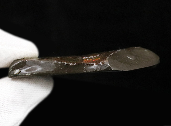 カナダ・アルバータ州が産んだ宝石、レッド、オレンジ、グリーンを呈する美しいアンモ「ラ」イト(Ammolite)のピース(その7)