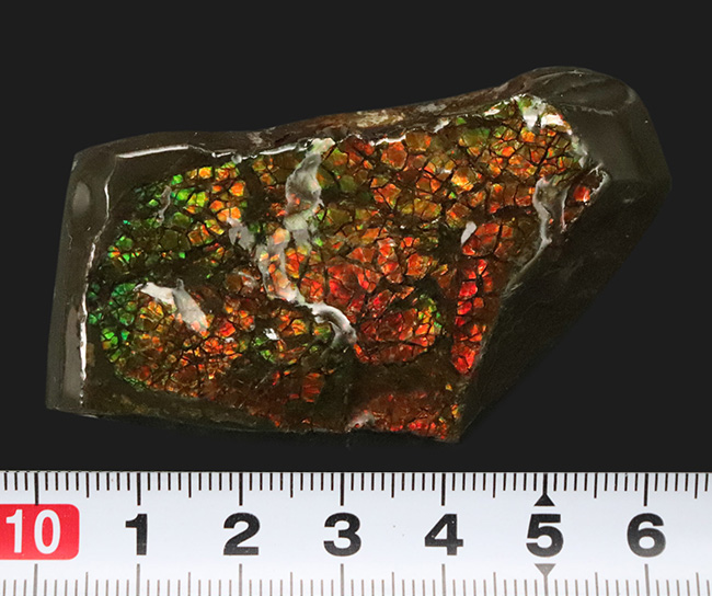 カナダ・アルバータ州が産んだ宝石、レッド、オレンジ、グリーンを呈する美しいアンモ「ラ」イト(Ammolite)のピース(その8)