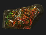 カナダ・アルバータ州が産んだ宝石、レッド、オレンジ、グリーンを呈する美しいアンモ「ラ」イト（Ammolite）のピース