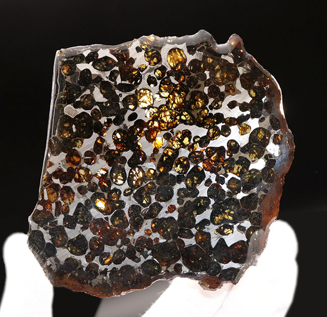１０センチ近い大判、黄金色を呈する美しきかんらん石を御覧ください！２０１６年にケニアで発見された新しいパラサイト隕石（本体防錆処理済み）（その1）
