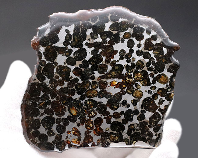 １０センチ近い大判、黄金色を呈する美しきかんらん石を御覧ください！２０１６年にケニアで発見された新しいパラサイト隕石（本体防錆処理済み）（その3）