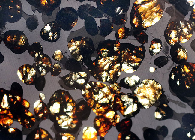 １０センチ近い大判、黄金色を呈する美しきかんらん石を御覧ください！２０１６年にケニアで発見された新しいパラサイト隕石（本体防錆処理済み）（その5）