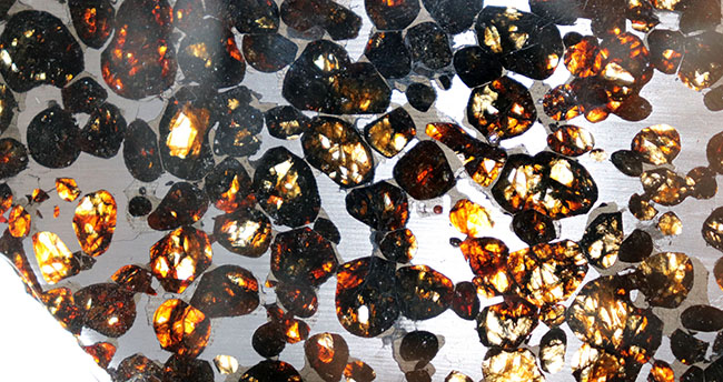 １０センチ近い大判、黄金色を呈する美しきかんらん石を御覧ください！２０１６年にケニアで発見された新しいパラサイト隕石（本体防錆処理済み）（その6）