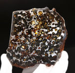 １０センチ近い大判、黄金色を呈する美しきかんらん石を御覧ください！２０１６年にケニアで発見された新しいパラサイト隕石（本体防錆処理済み）