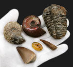 お客様の声　写真