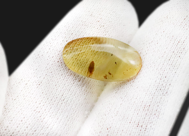 抜群の透明度を誇る、内部に微小な昆虫を内包したミャンマー産・恐竜時代の琥珀 ― バーマイト（Burmite）（その6）