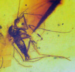 お客様の声　写真