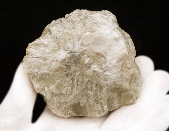 500グラムオーバー！「聖地の記憶」岐阜県中津川産の大型石英標本（その5）