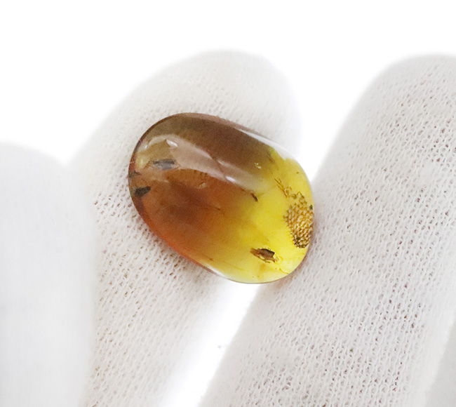 この一粒の琥珀に、巨大なロマンが内包!明瞭な凹凸が残された、爬虫類の鱗片が眠る、約1億年前の琥珀、バーマイトです。希少なトカゲの鱗が内包されたバーマイト(Burmite)(その8)