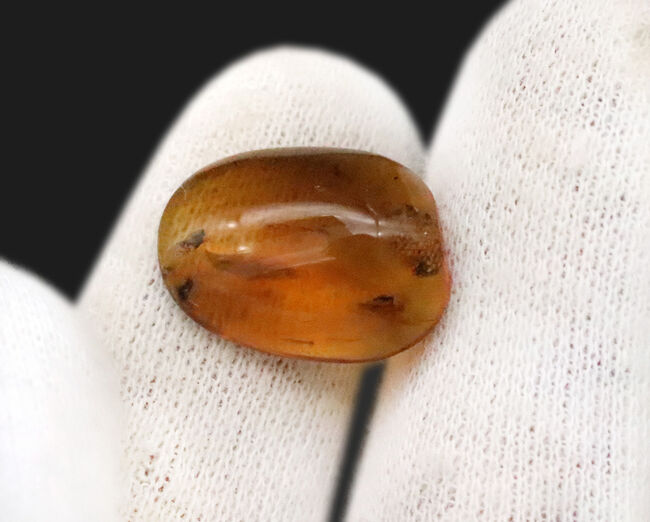 この一粒の琥珀に、巨大なロマンが内包!明瞭な凹凸が残された、爬虫類の鱗片が眠る、約1億年前の琥珀、バーマイトです。希少なトカゲの鱗が内包されたバーマイト(Burmite)(その9)