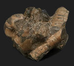 お客様の声　写真