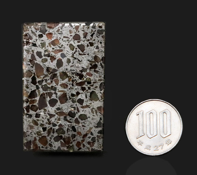ヘビー級！人気！贅沢な直方体型のケニア産石鉄隕石、パラサイト（その8）
