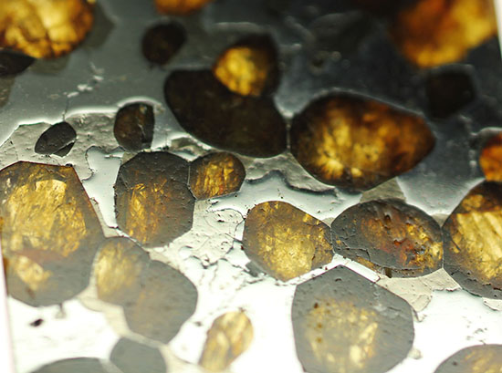 マントルと核の両方に起源を持つ石鉄隕石（最も美しい隕石）、ブラヒンパラサイト（その3）