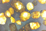 マントルと核の両方に起源を持つ石鉄隕石（最も美しい隕石）、ブラヒンパラサイト