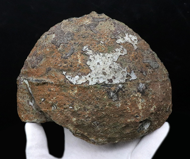 重量1キログラム超え、最大部16センチに達する大きなブラジル産の縞瑪瑙(しまめのう)(その6)