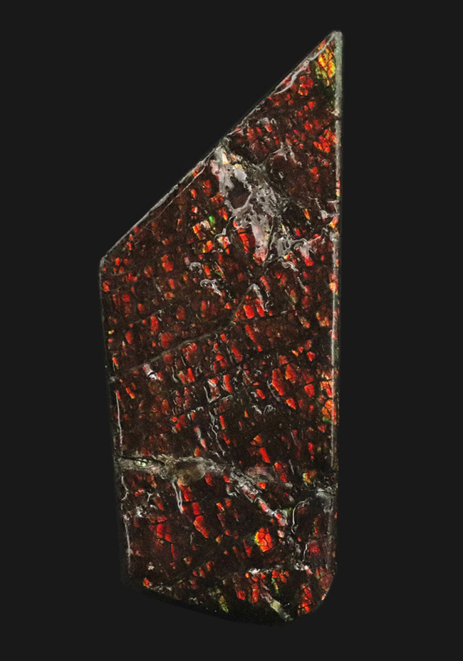 ドラゴンスキン模様が備わった、赤色のアンモ”ラ”イト(Ammolite)のピース(その1)