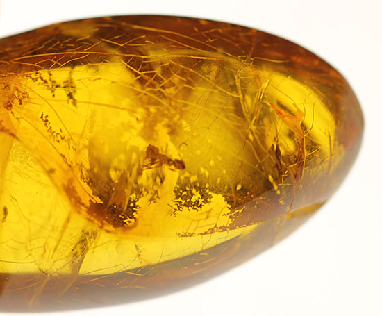 古第三紀(約3000万年前)の虫(アリ)が内包されたドミニカ産虫入り琥珀(Amber)(その1)