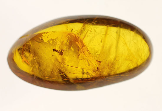古第三紀(約3000万年前)の虫(アリ)が内包されたドミニカ産虫入り琥珀(Amber)(その2)