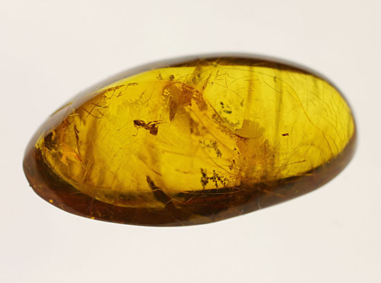 古第三紀(約3000万年前)の虫(アリ)が内包されたドミニカ産虫入り琥珀(Amber)(その6)