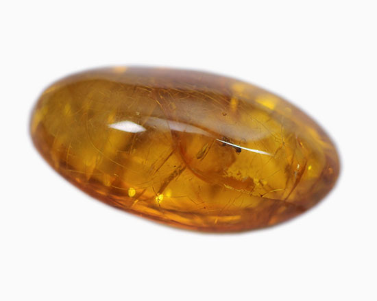 古第三紀(約3000万年前)の虫(アリ)が内包されたドミニカ産虫入り琥珀(Amber)(その8)