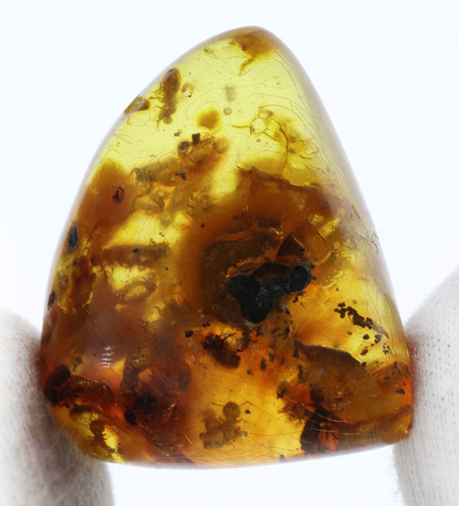 ビッグサイズ！およそ１００万年前の虫がたくさん包まれているコロンビア産コーパル（Copal）肉眼でも虫が見える！（その5）