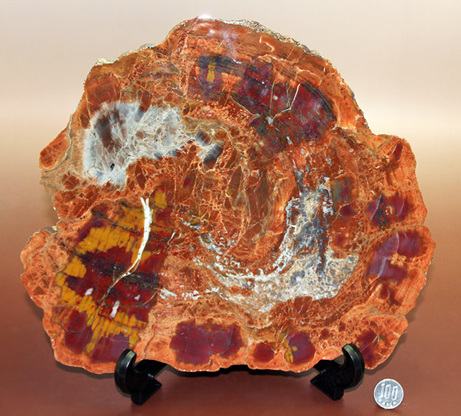 オレンジやイエローと申し上げても過言ではない箇所もあり、地味なもの