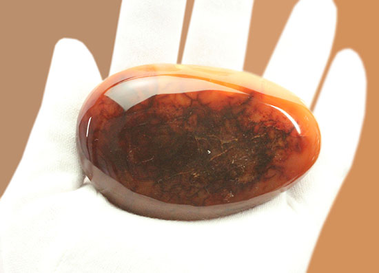 古代より宝石として重宝されてきた紅玉髄（カーネリアン）の磨き標本（その2）