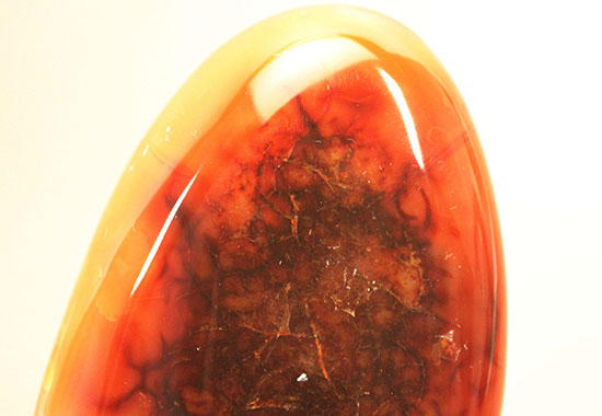 古代より宝石として重宝されてきた紅玉髄（カーネリアン）の磨き標本（その3）