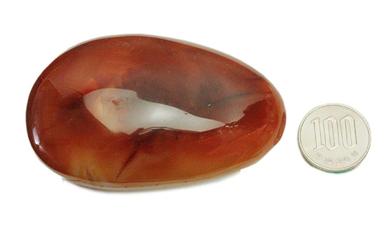 古代より宝石として重宝されてきた紅玉髄（カーネリアン）の磨き標本（その9）