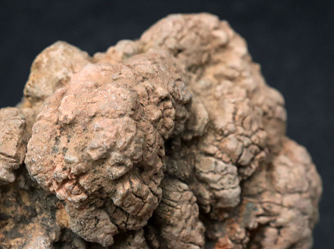 うんこの形の石 a6223e57e17c1b94206e96450f657e