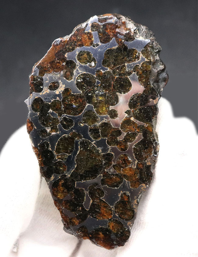 最大部８７ミリ、厚み６ミリ！大サイズかつ極厚の、立派なケニア産のパラサイト隕石（その1）
