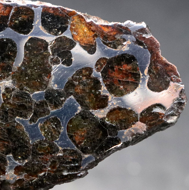 最大部８７ミリ、厚み６ミリ！大サイズかつ極厚の、立派なケニア産のパラサイト隕石（その2）