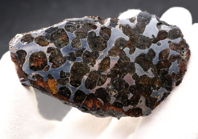 最大部８７ミリ、厚み６ミリ！大サイズかつ極厚の、立派なケニア産のパラサイト隕石（その4）