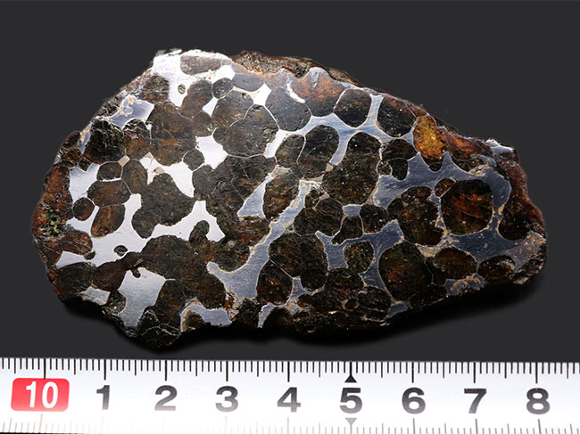 最大部８７ミリ、厚み６ミリ！大サイズかつ極厚の、立派なケニア産のパラサイト隕石（その7）
