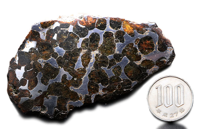 最大部８７ミリ、厚み６ミリ！大サイズかつ極厚の、立派なケニア産のパラサイト隕石（その8）