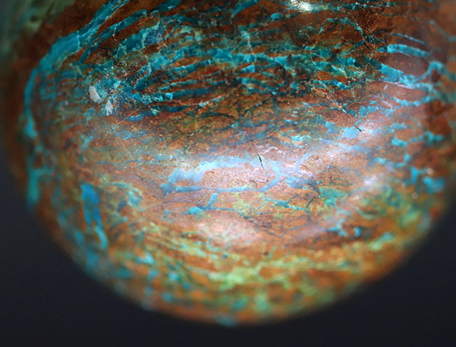 100%ナチュラル、職人の手によって丁寧に研磨されたクリソコラ(Chrysocolla)のスフィアカット標本(その6)