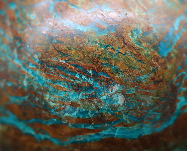 100%ナチュラル、職人の手によって丁寧に研磨されたクリソコラ(Chrysocolla)のスフィアカット標本(その8)