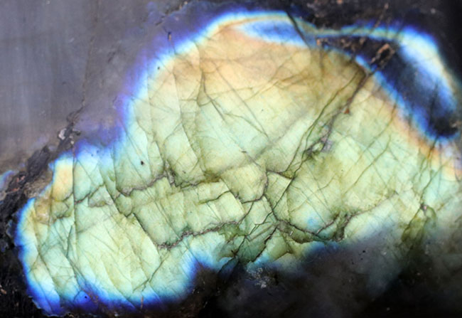 ブルーの濃淡が美しい!1キロを超える重さと大きさ。ハイクラス標本、ラブラドライト(Labradorite)(その8)