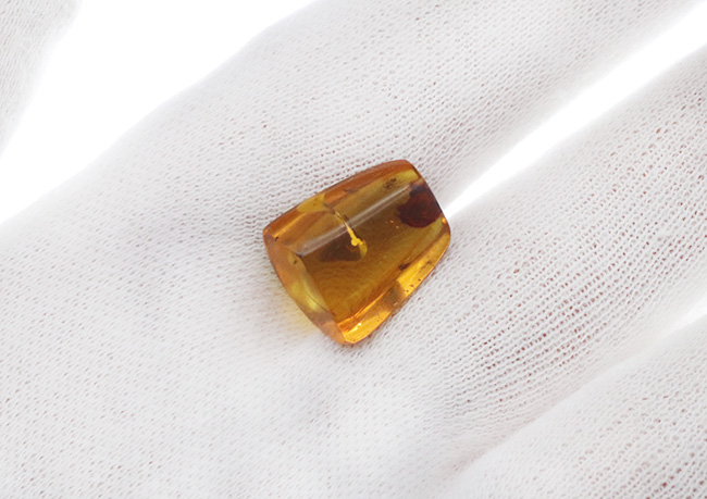 恐竜時代の琥珀です!非常に透明度の高い、虫を内包したミャンマー産琥珀(Amber)(その6)