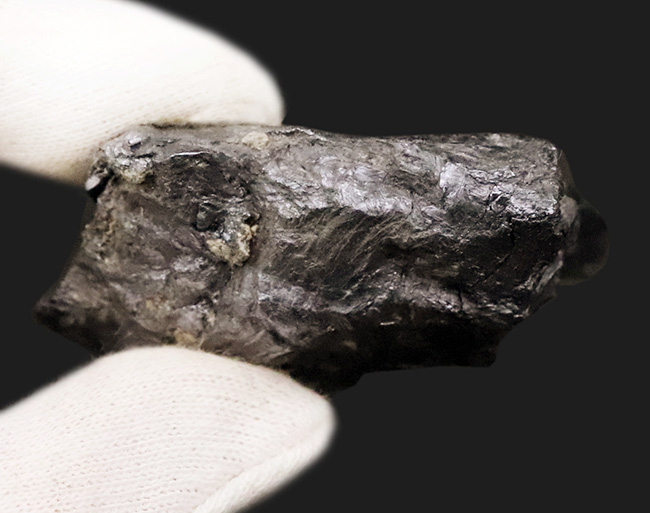 今から55年以上前（1970年採集）岐阜県大野郡白川村・平瀬鉱山（閉山）産……希少なモリブデン標本（その5）