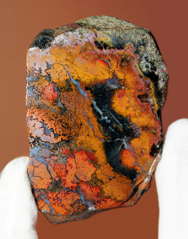 鮮やかな赤と複雑な模様で見るものを魅了するハンガリー産のメノウ(Agate)(その1)
