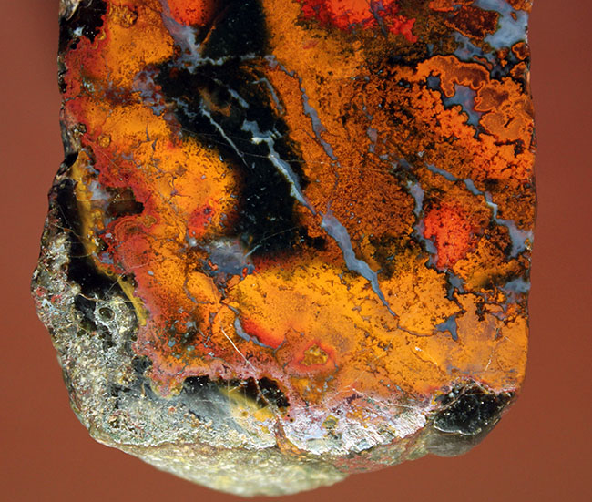 鮮やかな赤と複雑な模様で見るものを魅了するハンガリー産のメノウ(Agate)(その3)