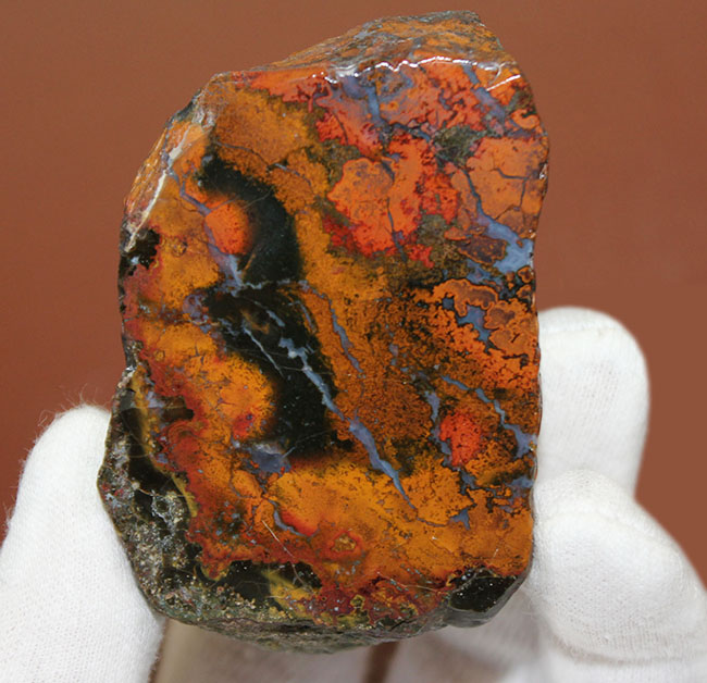 鮮やかな赤と複雑な模様で見るものを魅了するハンガリー産のメノウ(Agate)(その7)