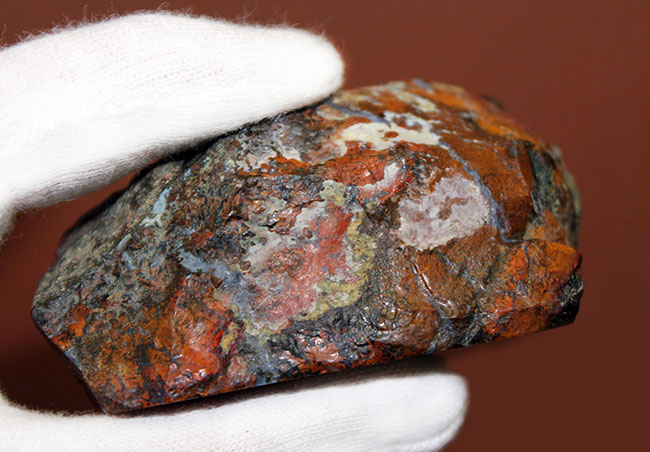 鮮やかな赤と複雑な模様で見るものを魅了するハンガリー産のメノウ(Agate)(その8)