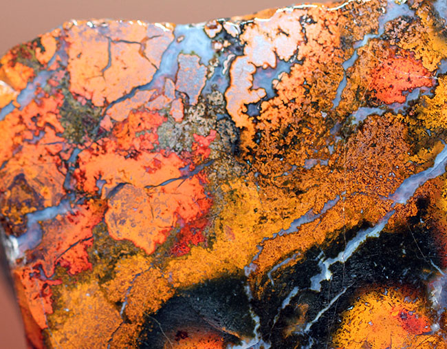 鮮やかな赤と複雑な模様で見るものを魅了するハンガリー産のメノウ(Agate)(その9)
