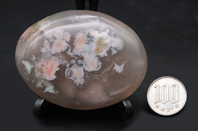 新品]大きな花がポイントの結晶ザクザクでどの面でも楽しめる 桜