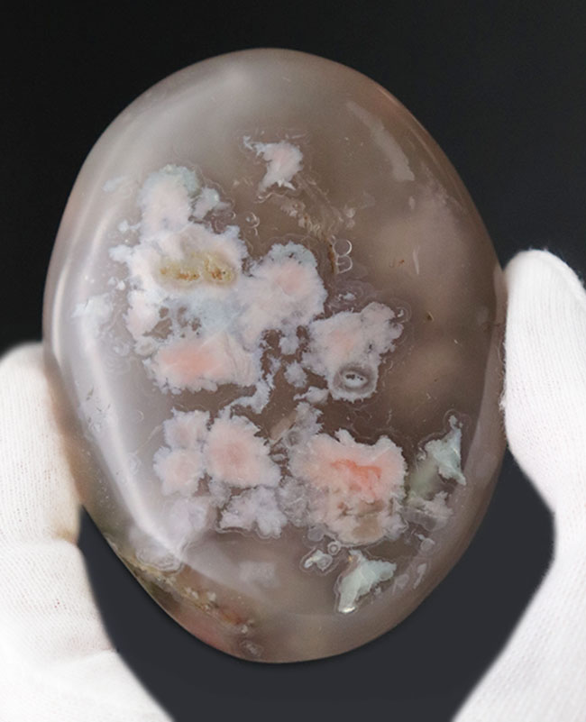 自然が作り出したアート！100％ナチュラルでありながら、桜の花の