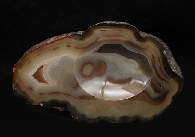 シックな落ち着いた色調が美しい、火山岩中にできたブラジル産の縞瑪瑙（Agate）。小物入れとしても使える！（その1）