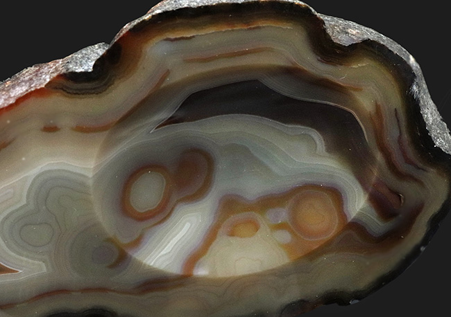 シックな落ち着いた色調が美しい、火山岩中にできたブラジル産の縞瑪瑙（Agate）。小物入れとしても使える！（その4）